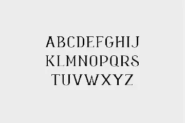 Chinchilla Vintage Serif Font