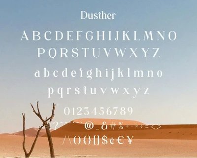 Dusther - Modern Serif Font