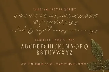 William Letter Signature Script font