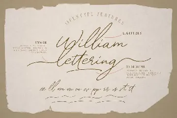 William Letter Signature Script font