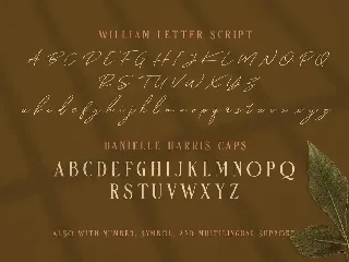 William Letter Signature Script font