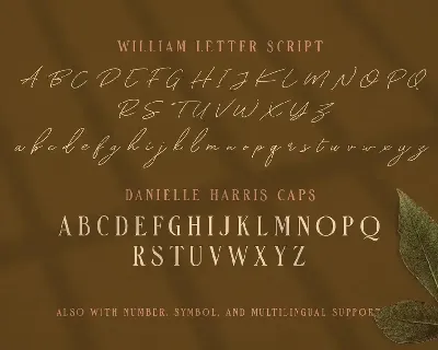 William Letter Signature Script font