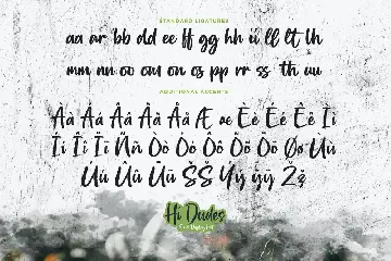 Hi Dudes - Brush Display Font