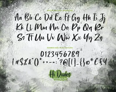 Hi Dudes - Brush Display Font