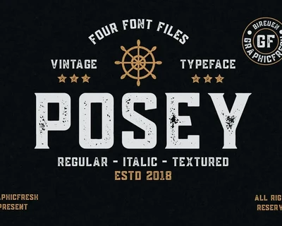 Posey - Vintage Type | 4 Font Files