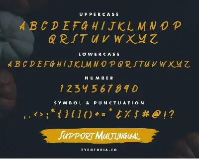 Gronzy â€“ Brush Font