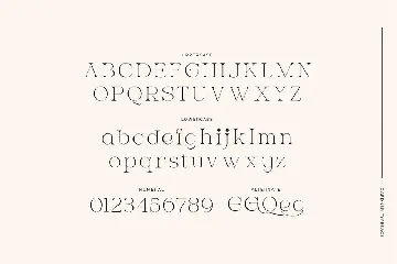 Gardner - Modern Display Font