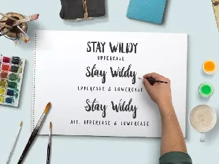 Stay Wildy font