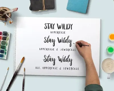 Stay Wildy font