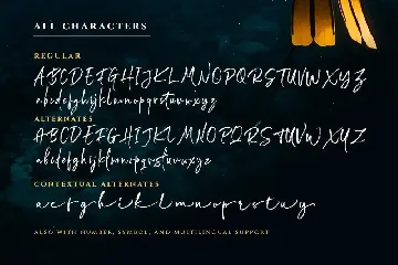 Wonderstory - Brush Script font
