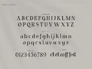Milburga - Unique Serif Typeface font