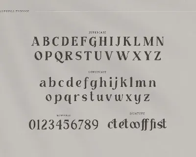 Milburga - Unique Serif Typeface font