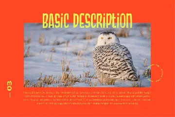 Snowy Owl font