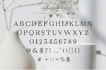 Jemika - Modern Serif Font