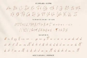 Springfield - Script Handwritten Font