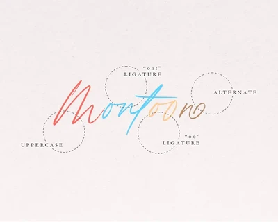 Hayasaka - Modern Script Typeface Font