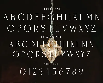 CHESA Elegant Ligature Serif Typeface font