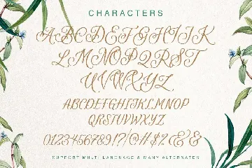 Revisella Typeface font