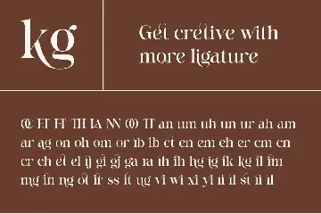 Felgine Ligature Serif Font