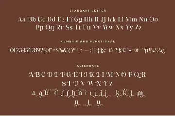 Felgine Ligature Serif Font