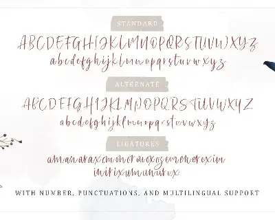 Sharon Baker - Modern Script font