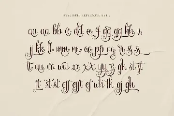 Maheera Brights - A Calligraphy Font