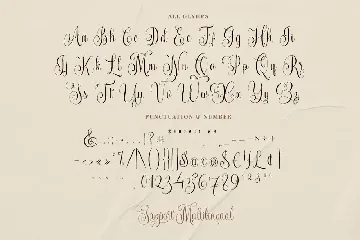 Maheera Brights - A Calligraphy Font