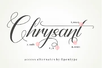 Chrysant - A Script Font