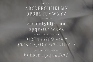 Flawsome font