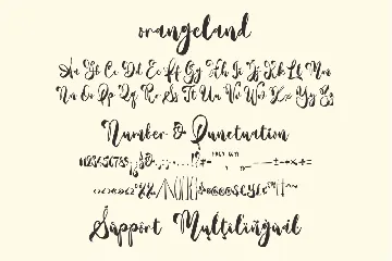 Orangeland - A Script Font