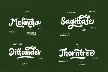 Claytonia Bold Script font