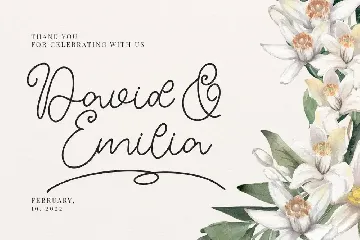 Carol Adelina | A Monoline Script Font