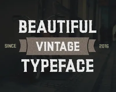 Ronies Vintage Font