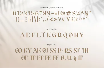 Rooscha Beauty Serif font