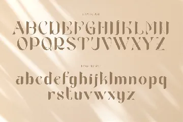 Rooscha Beauty Serif font