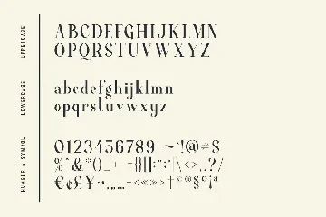 Average - Modern Serif Font