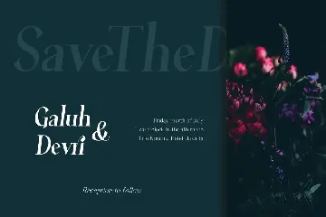 Average - Modern Serif Font