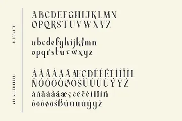 Average - Modern Serif Font