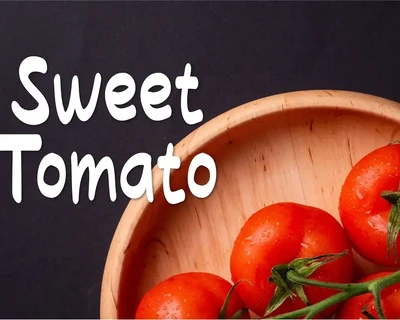 Romeny Sans Handwritten Font