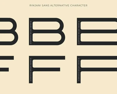 Rinjani Sans - Wide Stretch Typeface font