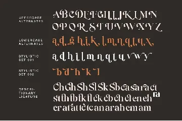 Magical Signature Font Duo