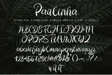 Paulinha font