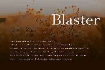 Blaster - Serif Font