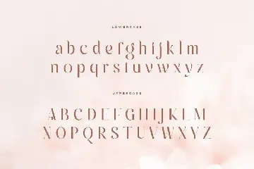 Andara - Luxury Classy Love Font