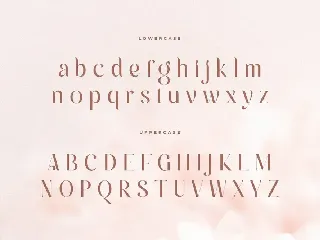 Andara - Luxury Classy Love Font