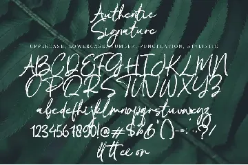 Signature Authentic font