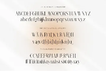 Veminit Serif Font