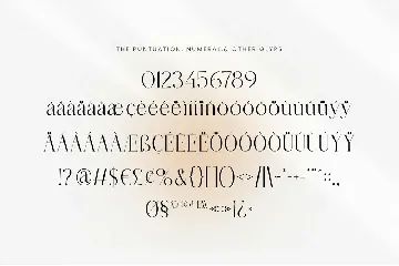 Veminit Serif Font