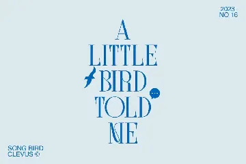 Song Bird | Modern Serif font