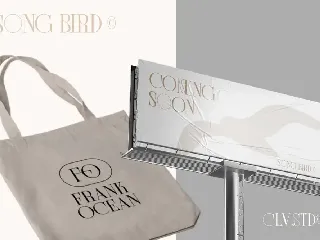 Song Bird | Modern Serif font